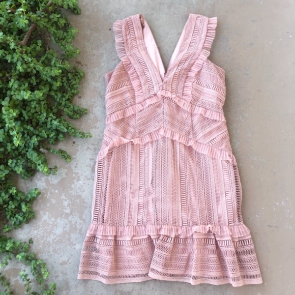 Bardot Dresses & Skirts - Bardot Kristen Lace Mini Ruffle Dress in Blush
